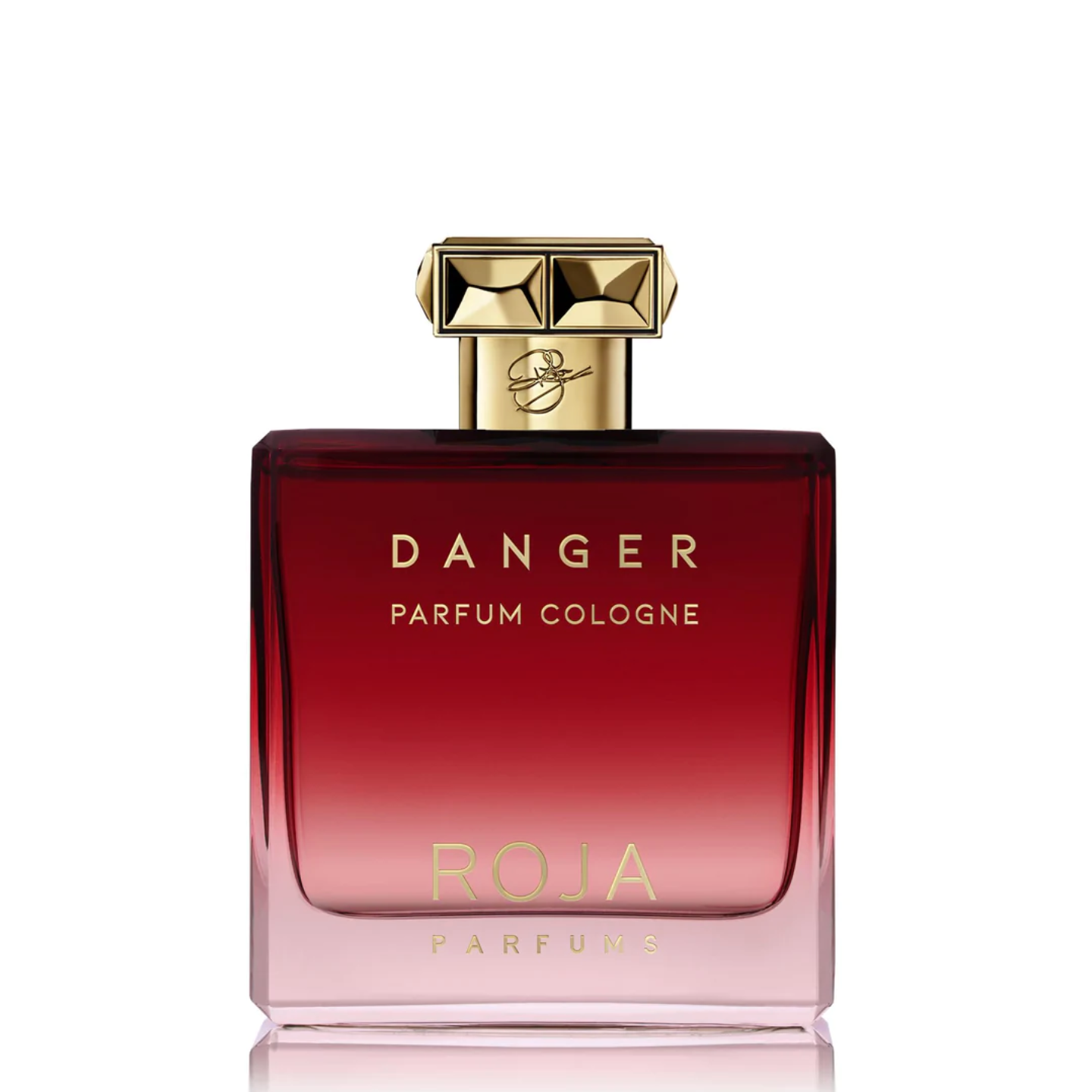 DANGER POUR HOMME COLOGNE - ROJA